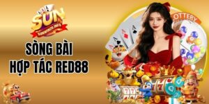 hợp tác Red88